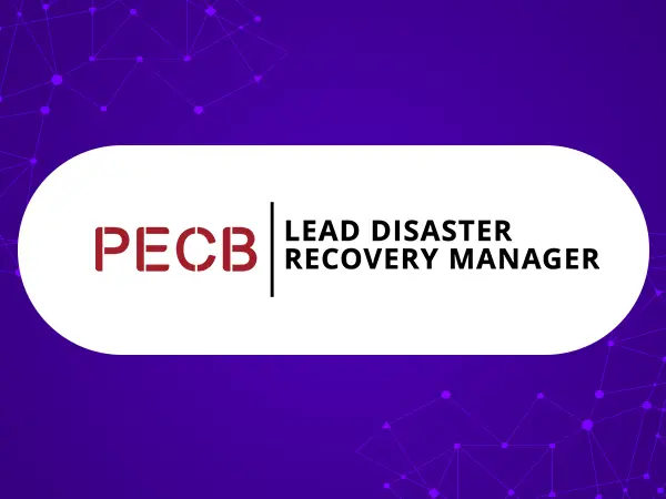 Lead Disaster Recovery Manager&nbsp;