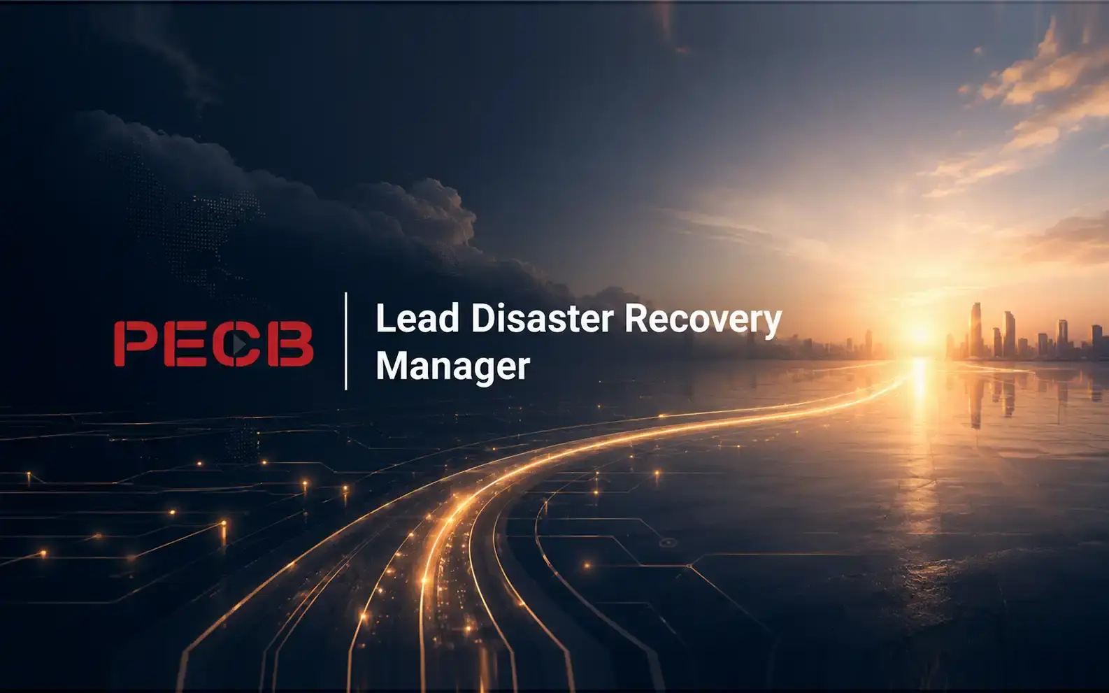 Lead Disaster Recovery Manager&nbsp; course image