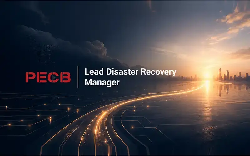 Lead Disaster Recovery Manager&nbsp;