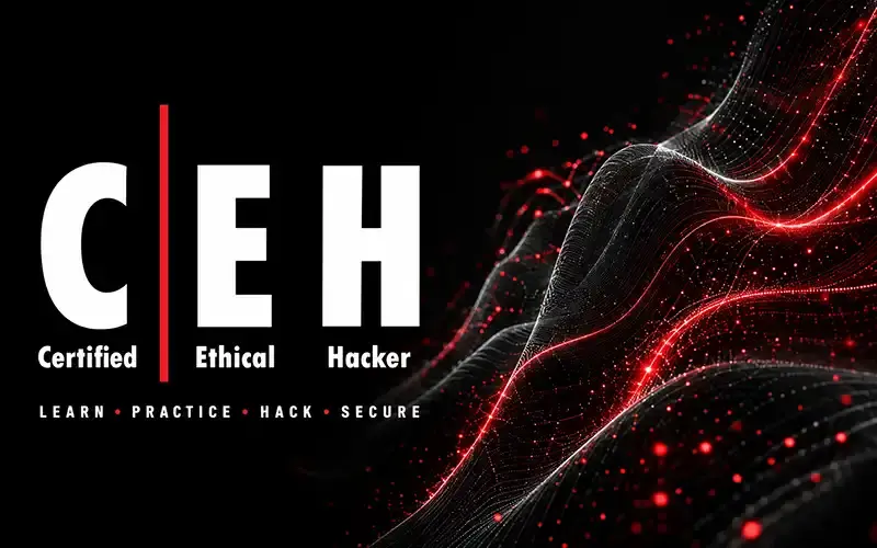 Certified Ethical Hacker (CEH)